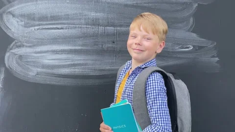 A schoolboy  Back to school. Stock Footage 200843070