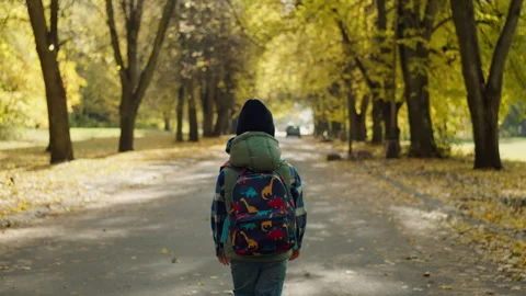 Schoolboy with a backpack on his back goes to school in the fall 스톡 동영상 259015474