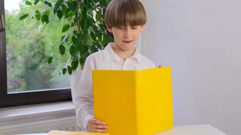 Schoolboy boy reading a book. boy reading a book Stock Footage 241839071