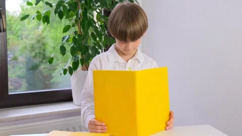 Schoolboy boy reading a book. School start. First grade. Stock Footage 241839064