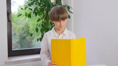 Schoolboy boy reading a book. School start. First grade. Stock Footage 241839086