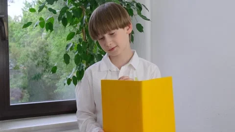 Schoolboy boy reading a book. School start. First grade. Stock Footage 241839087