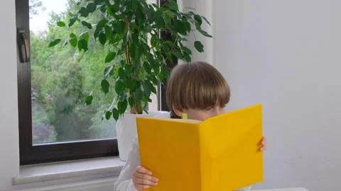 Schoolboy boy reading a book. School start. First grade. Stock Footage 241839155