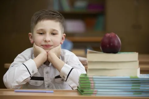 Schoolboy at the desk. Stock Photos