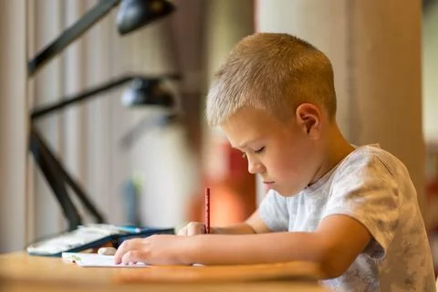 Schoolboy doing homework at a table in the city library Foto stock