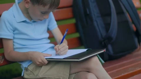 Schoolboy doing lessons in park with backpack under warm sunlight Stock Footage 313218602