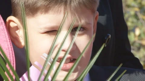 Schoolboy Stock Footage 2668276