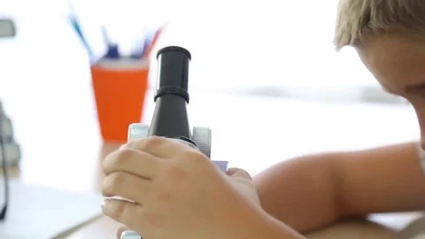 Schoolboy looking into microscope Stock Footage 82528644