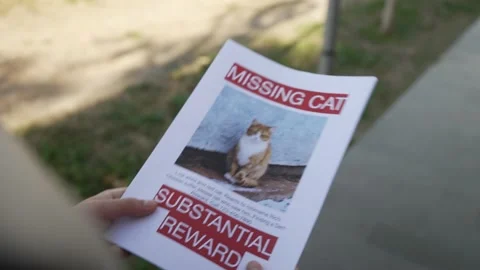 Schoolboy putting up missing pet banners Stock Footage 229162312