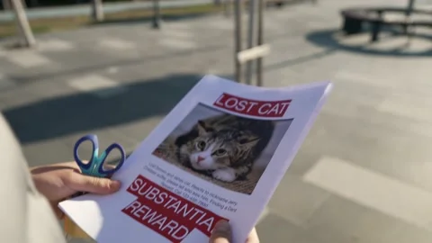 Schoolboy putting up missing pet banners Stock Footage 229935619