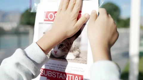 Schoolboy putting up missing pet banners Stock Footage 229935699