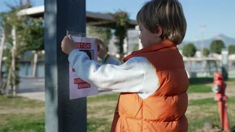 Schoolboy putting up missing pet banners Stock Footage 229935730