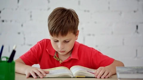 A schoolboy reading a textbook Stock Footage 92040330