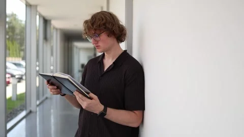 Schoolboy studies from notebook in hallway Stock Footage 338277041