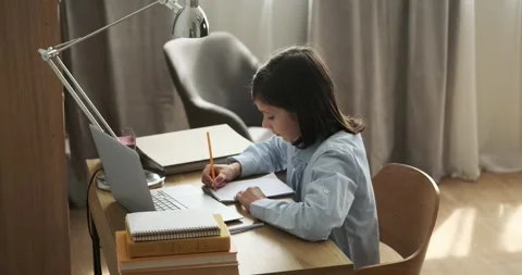 Schoolboy Studying at the Desk Stock Footage 254439017