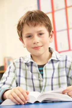 Schoolboy Studying Textbook In Classroom Stock Photos