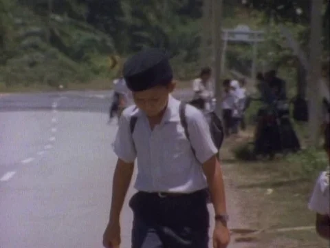 Schoolboys walking together on street Video stock 79882471