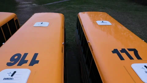 SCHOOLBUSES NUMBER ROW Stock Footage 195118060