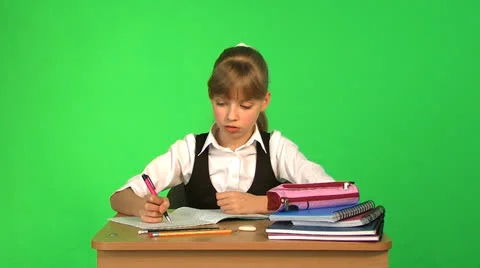 Schoolchild in classroom. Stock Footage 24002635