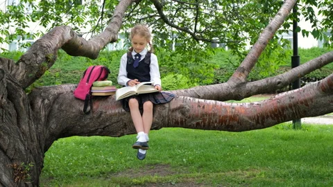 Schoolgirl doing homework on tree branch in park Stock Footage 200801376