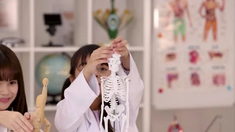 Schoolgirl Examining Human Skeleton Model in Science Classroom Stock Footage 346447285