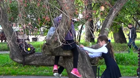 Schoolgirls on tree Stock Footage 55028874