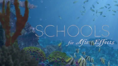 Schools Stock After Effects