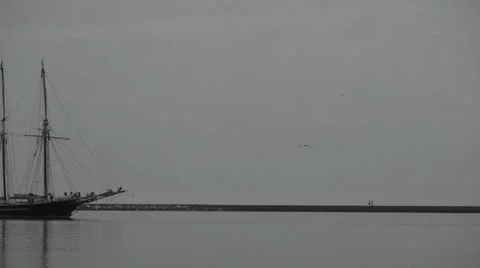 Schooner glides in harbor Vidéo 11250994