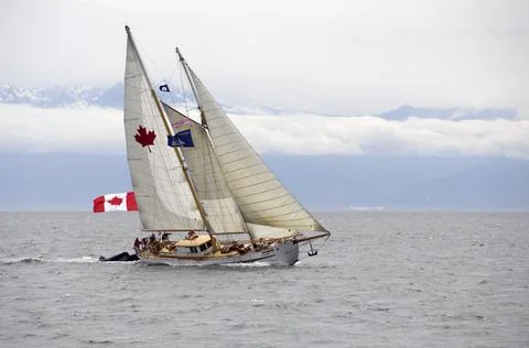 The schooner Maple Leaf was built in 1904 at Vancouver Shipyard, British Colu Foto stock