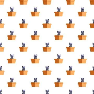 Schrodinger's cat concept with cats in boxes pattern Illustrazione stock