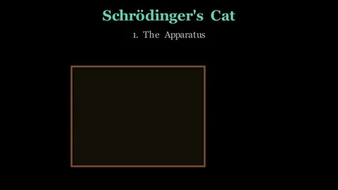 Schrodinger's Cat - A thought experiment on quantum superposition Stock-Footage 339153036