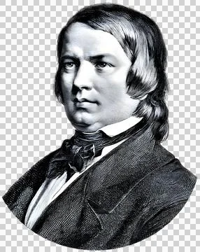 Schumann Portrait Ilustração Stock