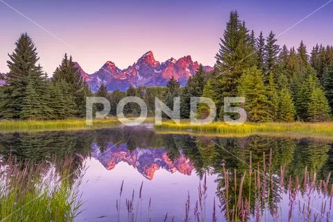 Schwabacher's Landing at Dawn Stock Photos