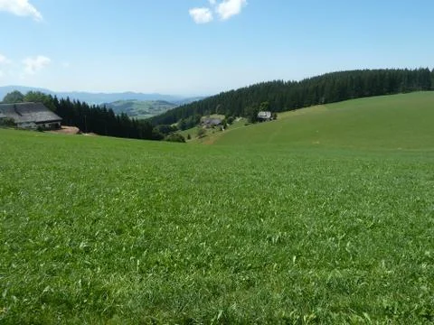 Schwarzwald (4) Stock Photos