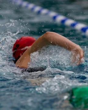 Schwimmer Stock Photos