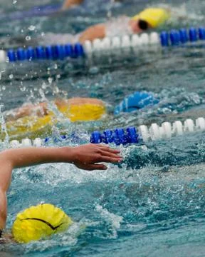 Schwimmer Stock Photos