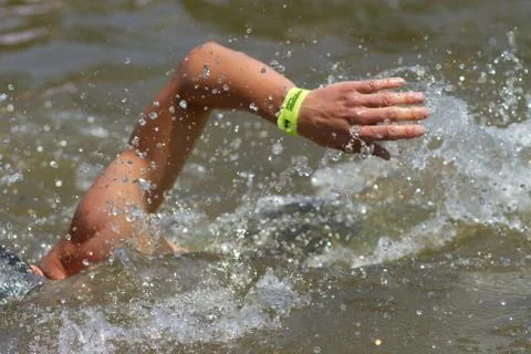 Schwimmer Stock Photos