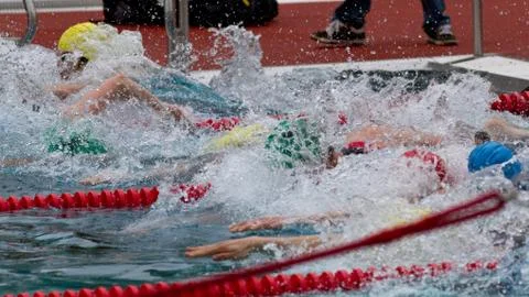 Schwimmstart Stock Photos