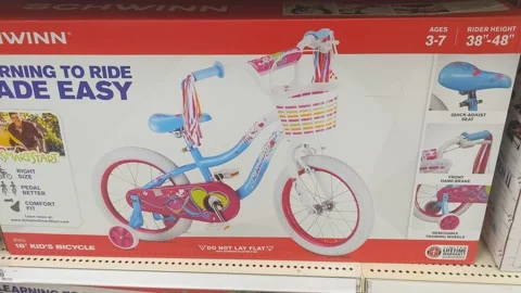 Schwinn learning to ride made easy on sale