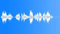 Sci fi voice clip Sound Effect