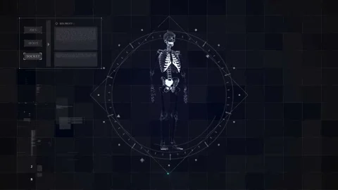 Sci Skeleton 01 Stock Footage 165900215