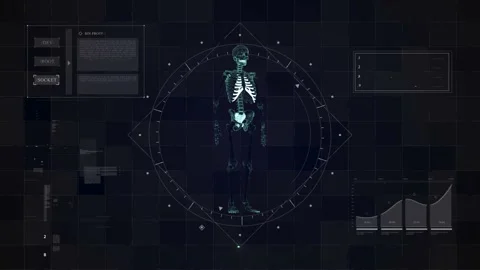 Sci Skeleton 02 Video stock 165900217