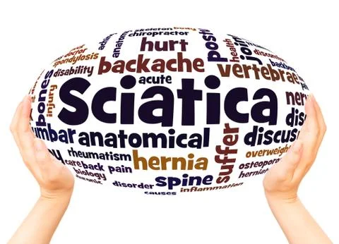 Sciatica word cloud hand sphere concept Stock Photos