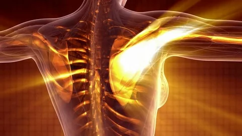 Science anatomy of human body in x-ray with glow skeleton bones Stock Footage