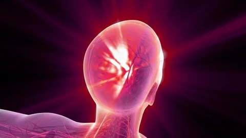 Science anatomy scan of human brain glowing Stock Footage