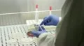 science and research HD Footage