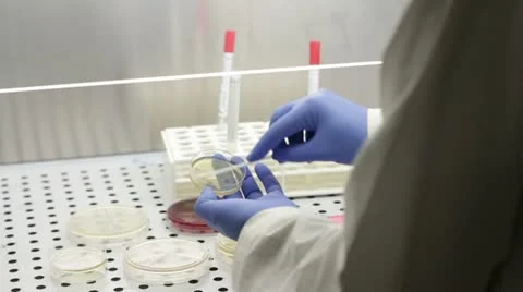 Science and research Stock Footage