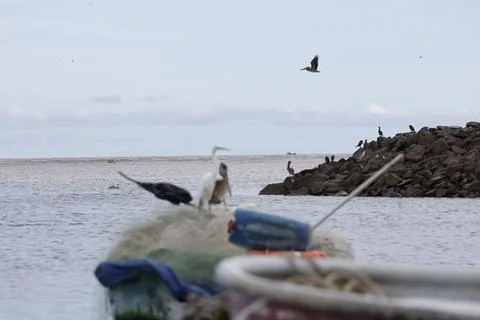 Science and technology shape debate on oceans' future, La Chorrera, Panama - 21  Stock Photos