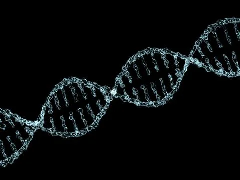Science background with DNA molecules from water on black. 3D 스톡 일러스트