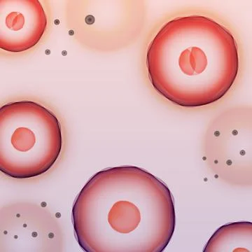 Science Background, Two-cell Embryo - Vector Illustration Illustrazione stock